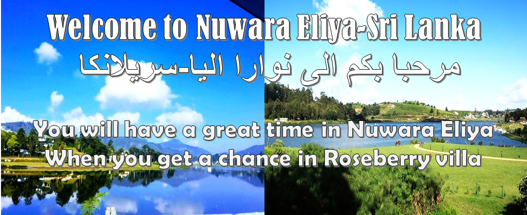 Welcome to Nuwara Eliya